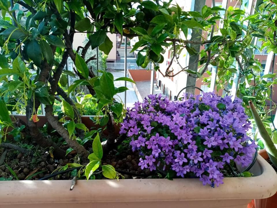 Appartamento Con Terrazzo A Gorgonzola Exterior foto